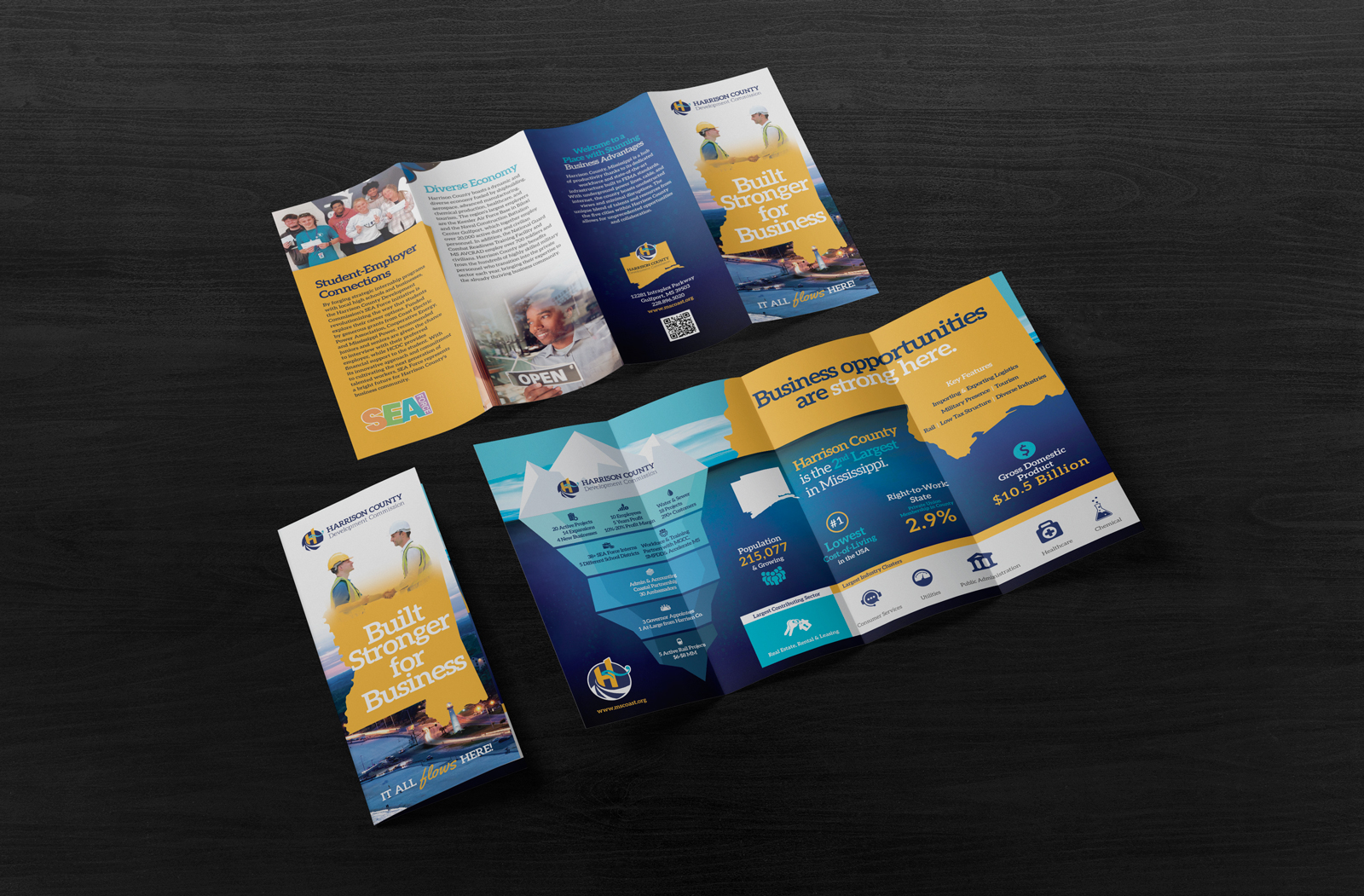 Government-Brochure-Design